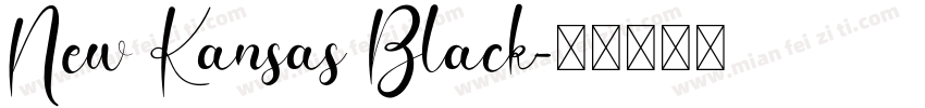 New Kansas Black字体转换